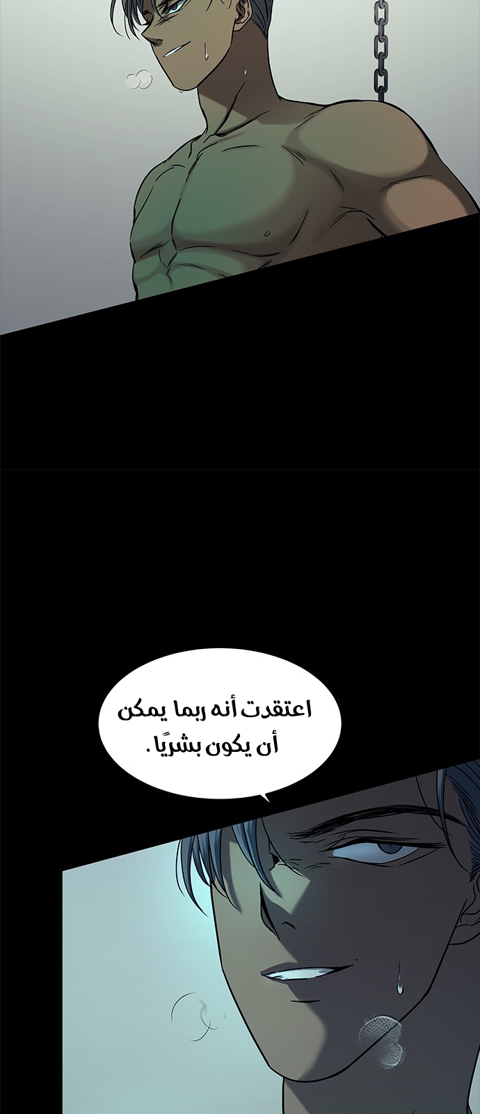 الصفحة 28