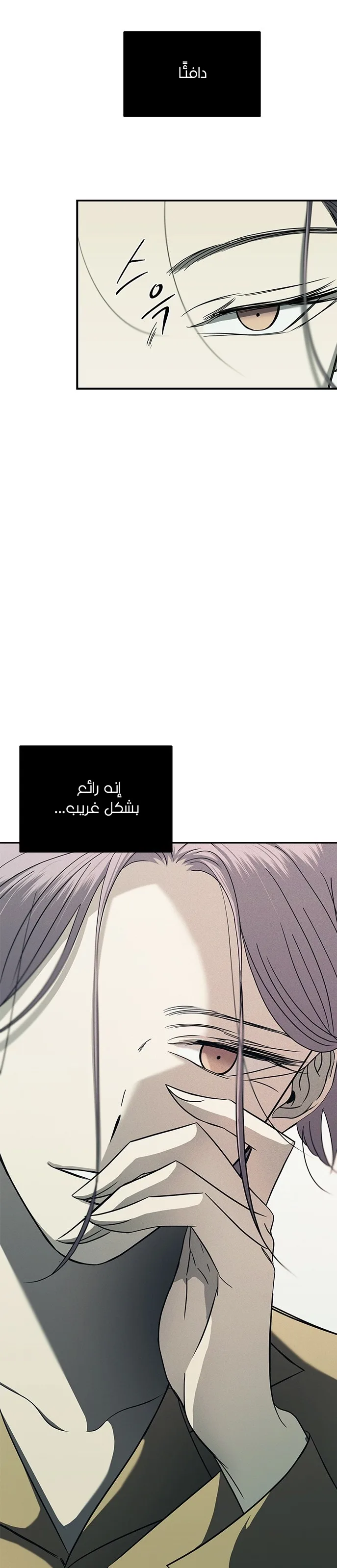 الصفحة 15
