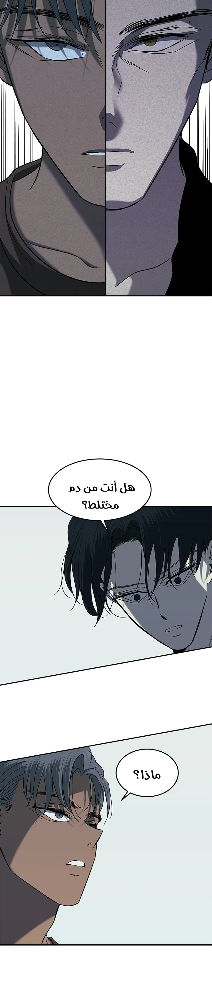 الصفحة 16