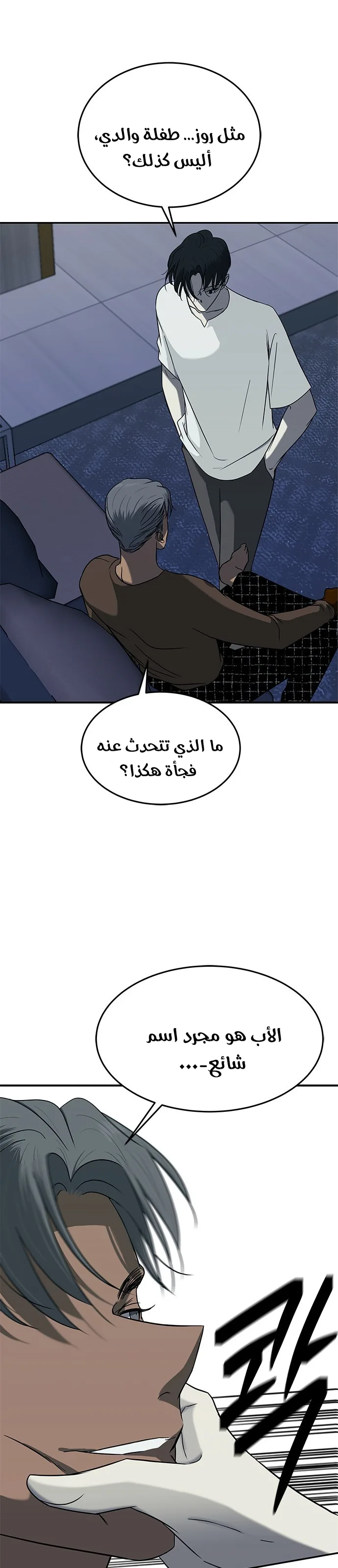 الصفحة 17