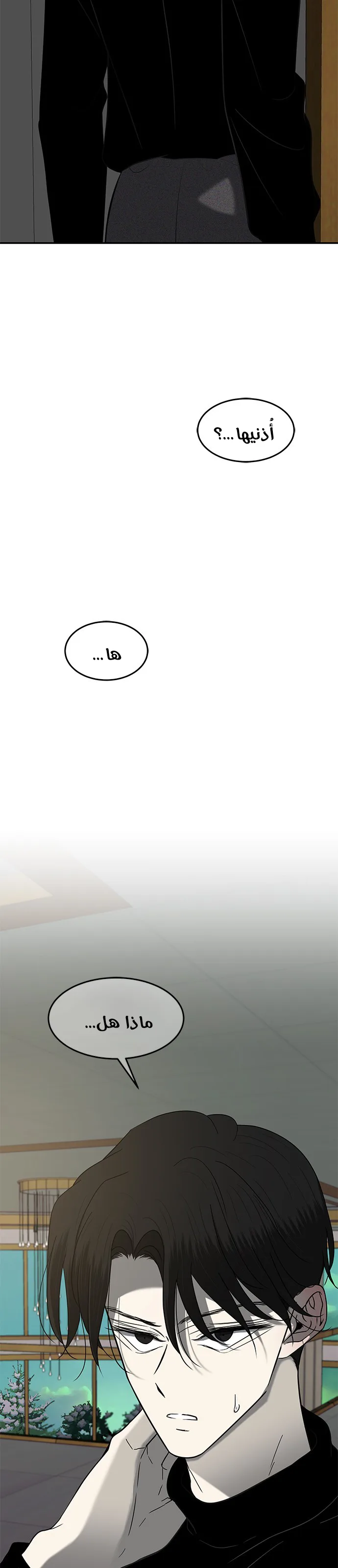 الصفحة 41