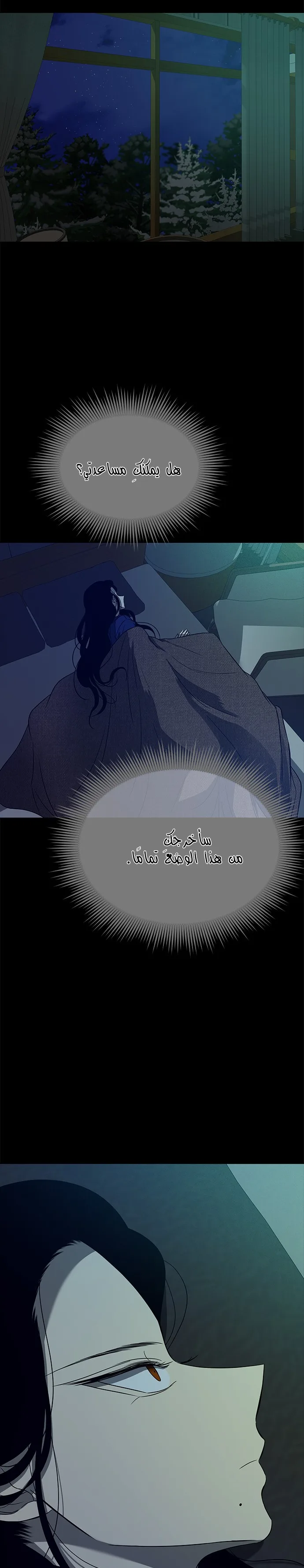 الصفحة 29