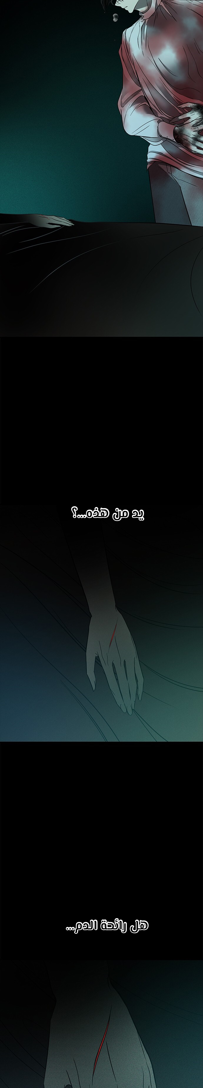 الصفحة 16