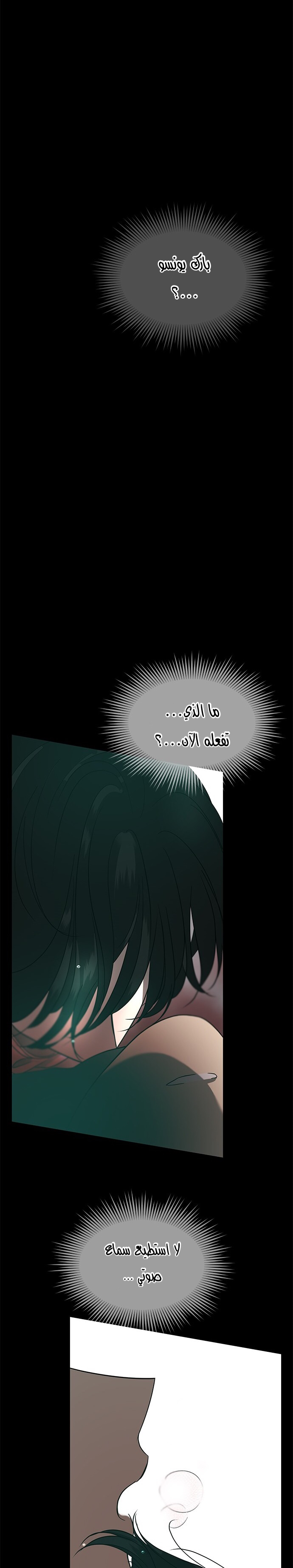 الصفحة 26