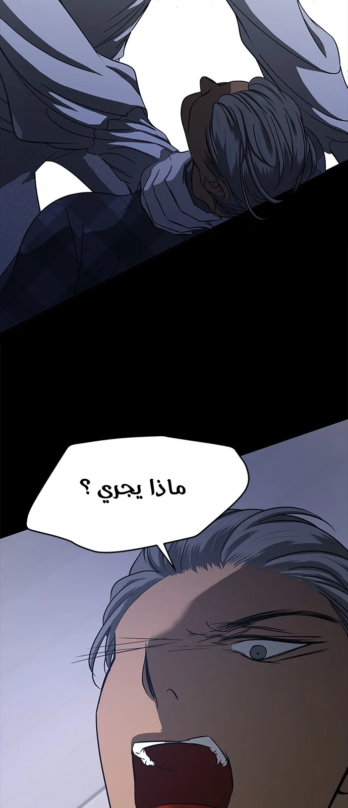 الصفحة 30