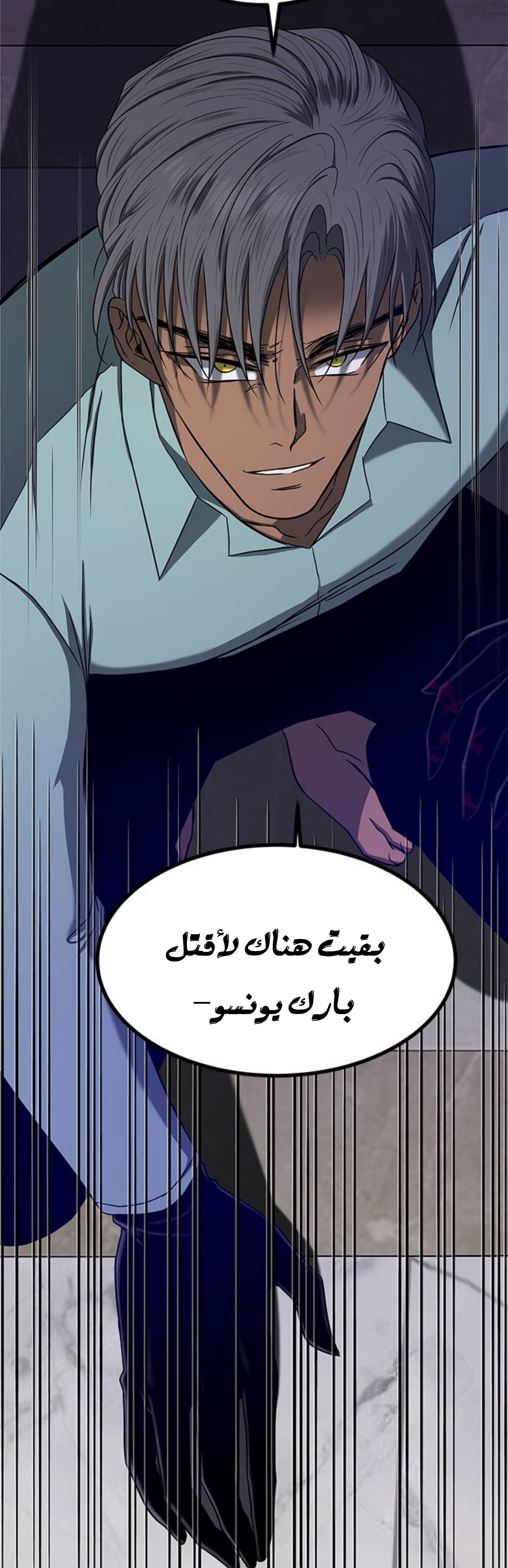 الصفحة 25