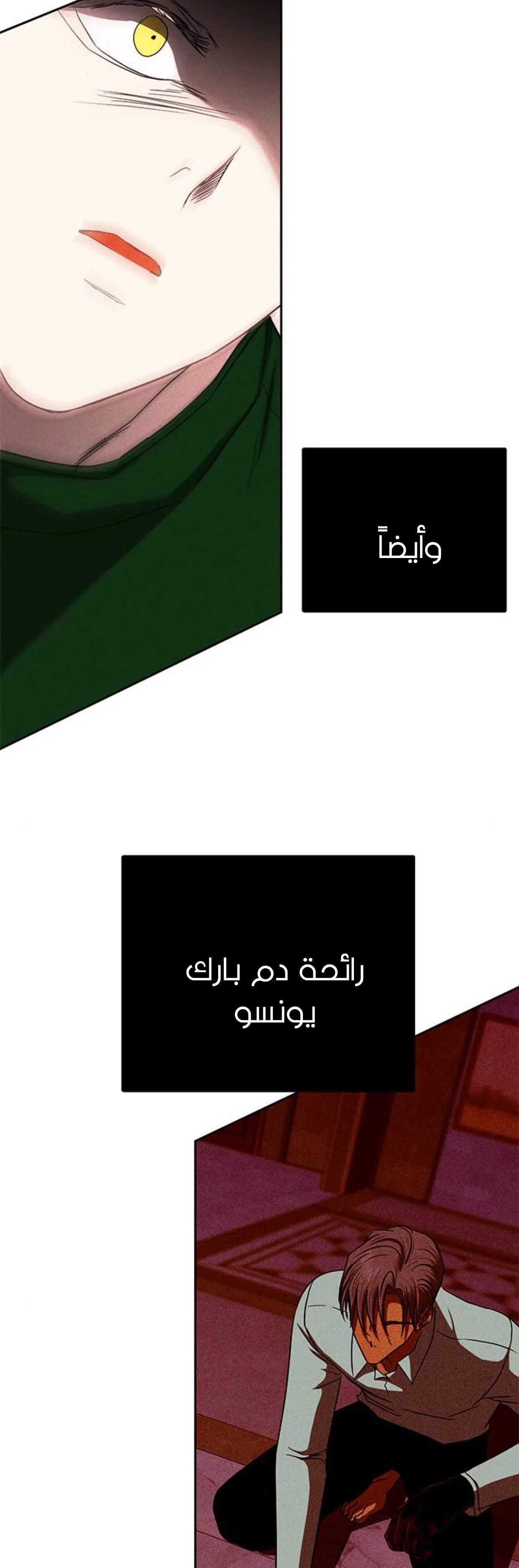 الصفحة 31