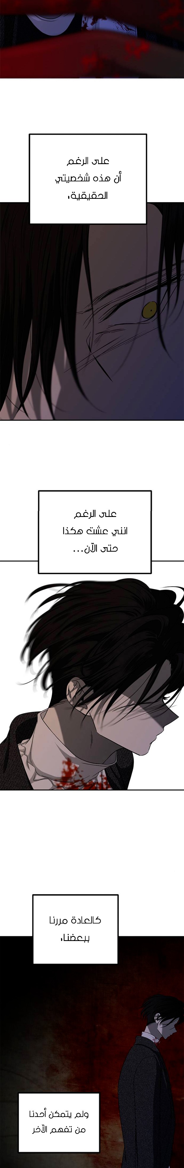 الصفحة 17
