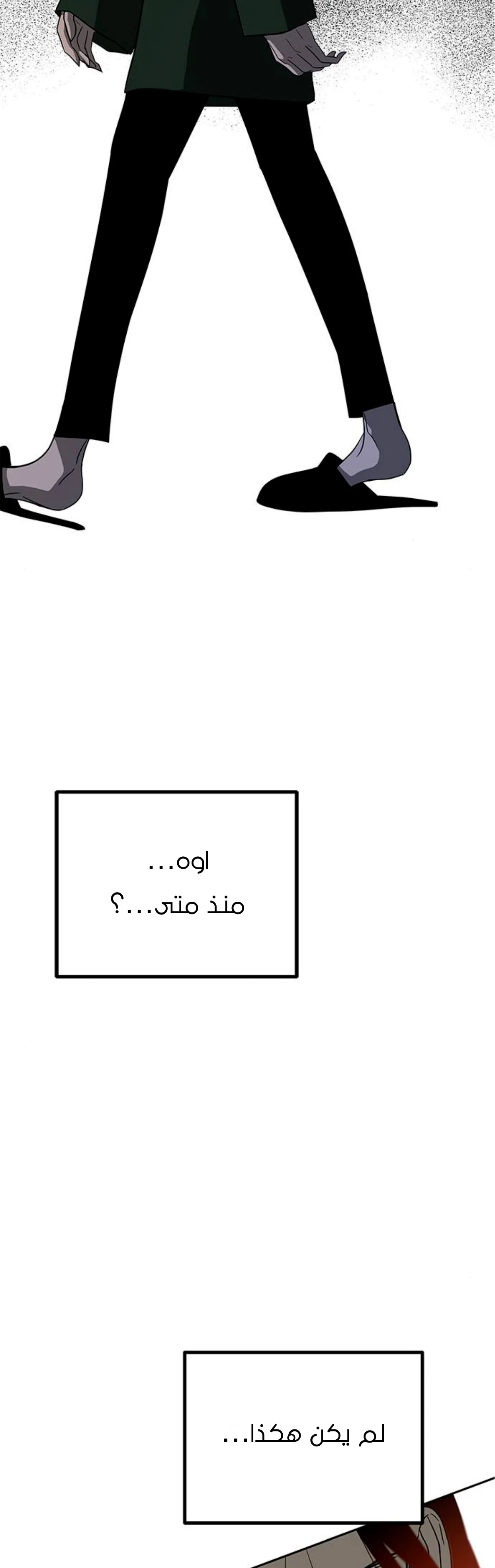 الصفحة 19