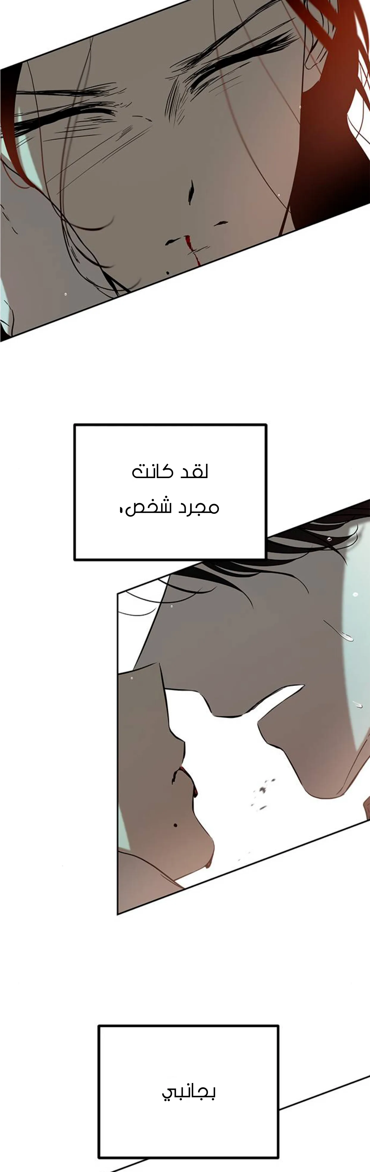 الصفحة 20