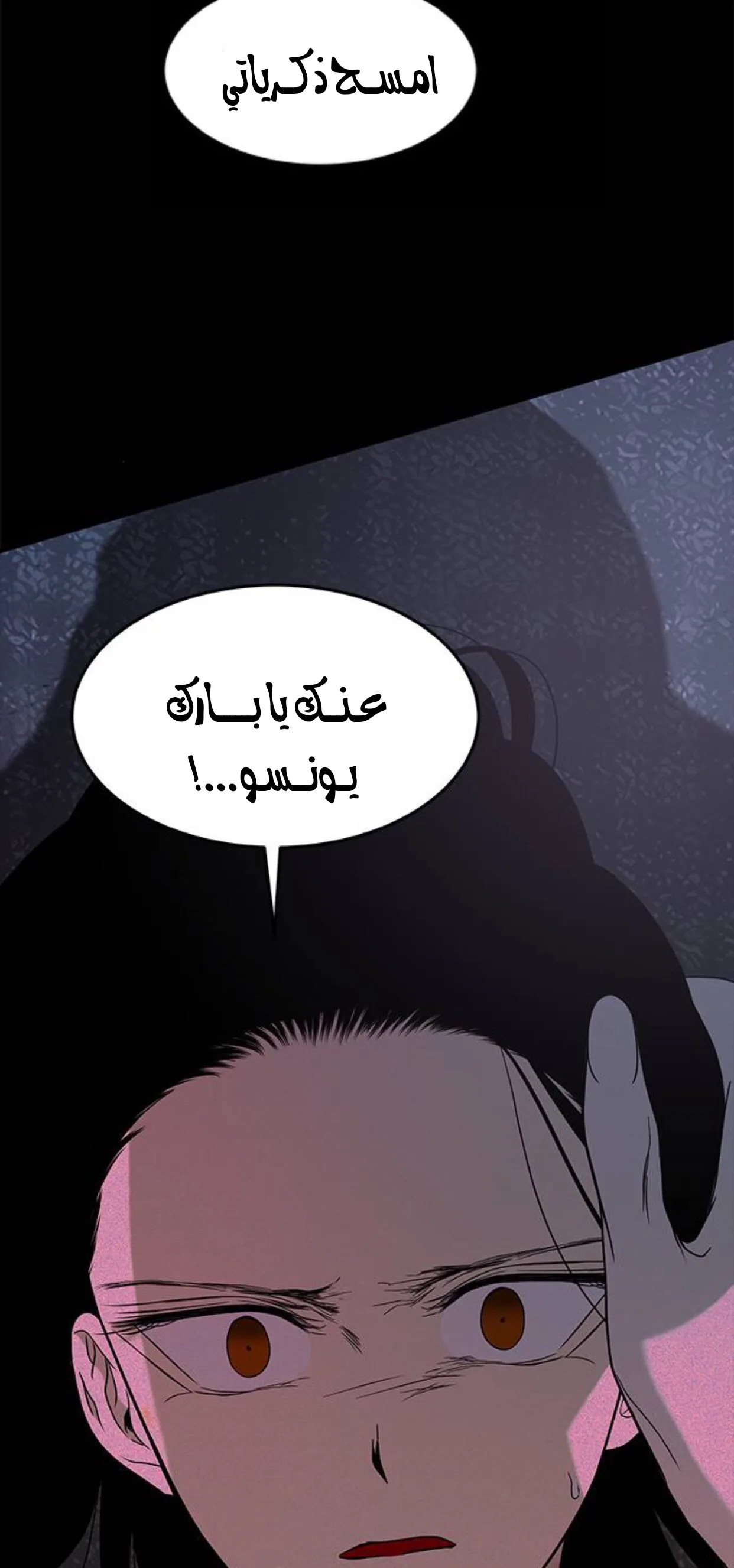 الصفحة 27