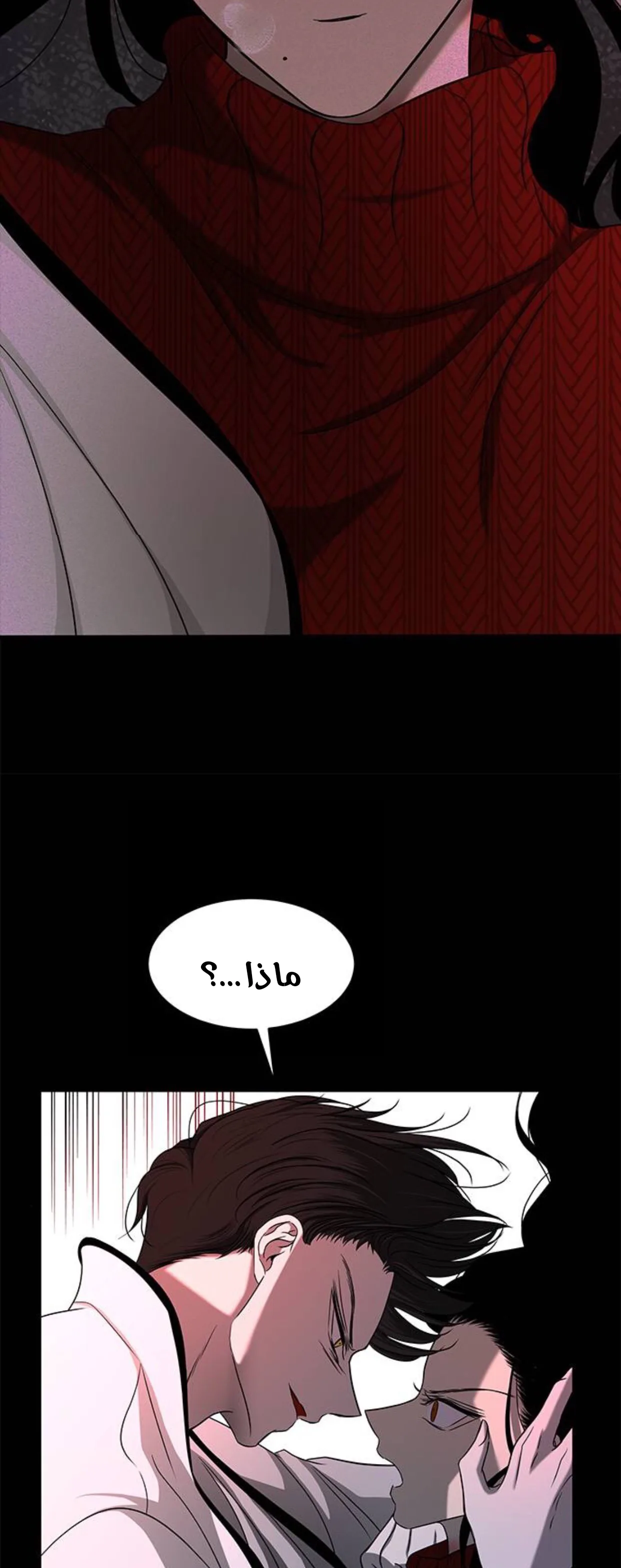 الصفحة 28