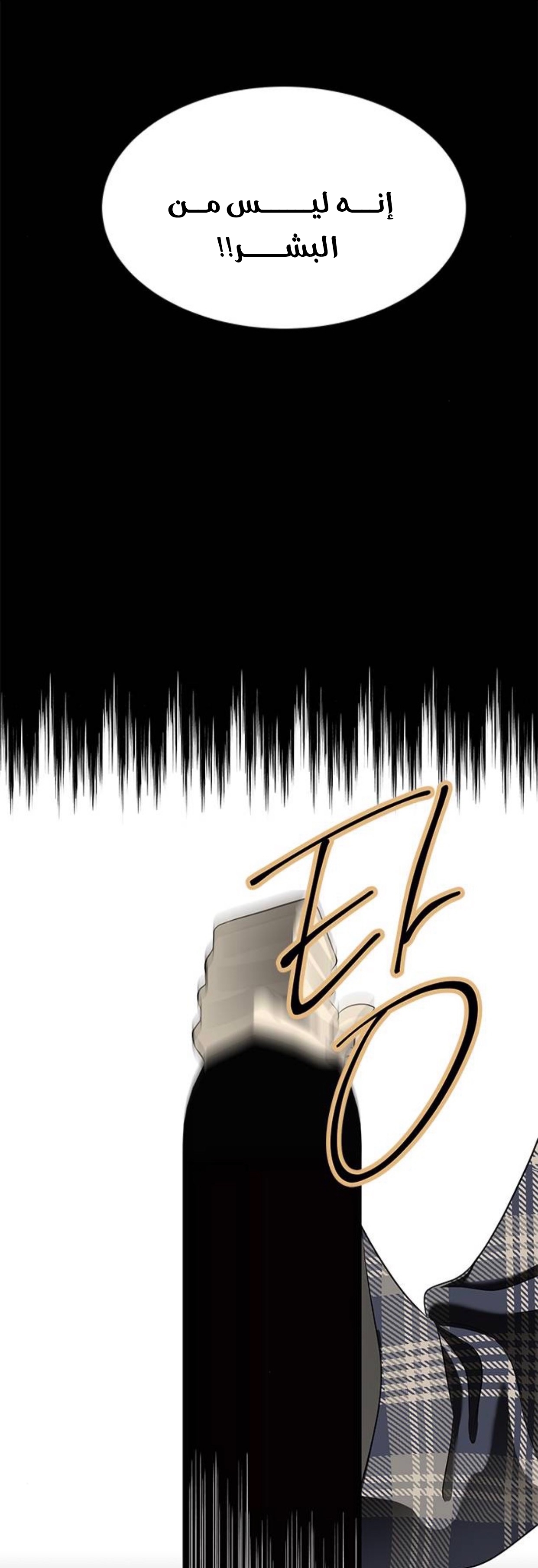الصفحة 29