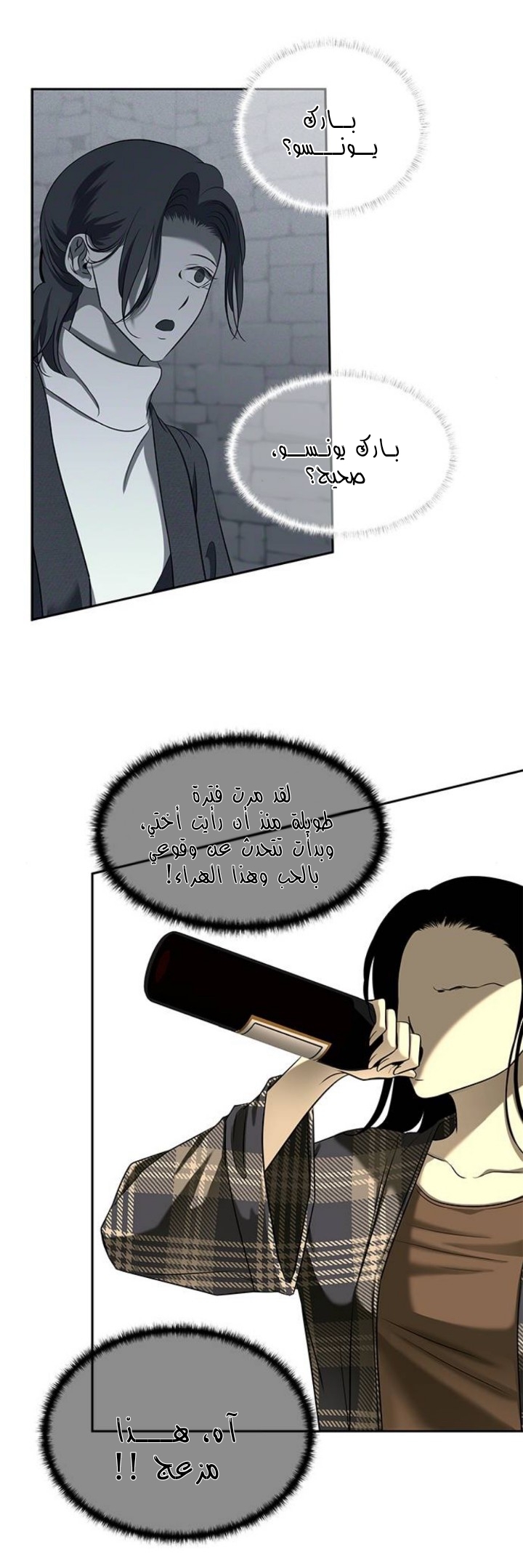 الصفحة 31
