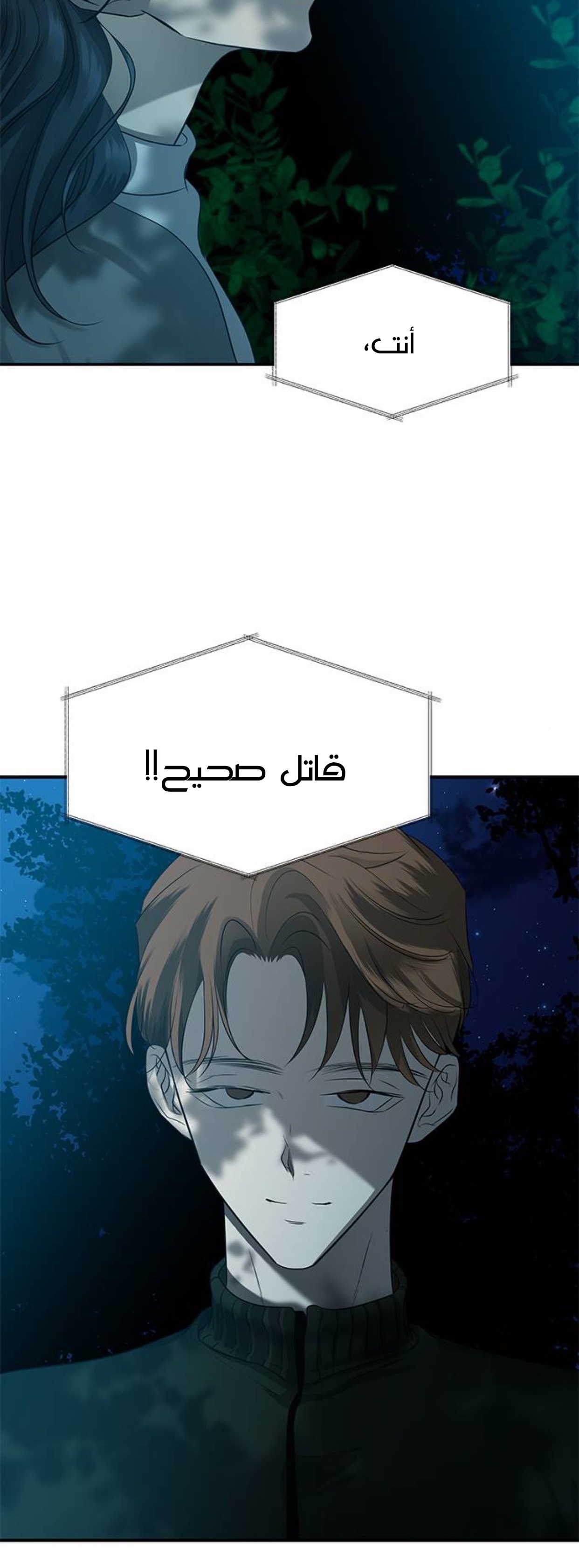 الصفحة 33