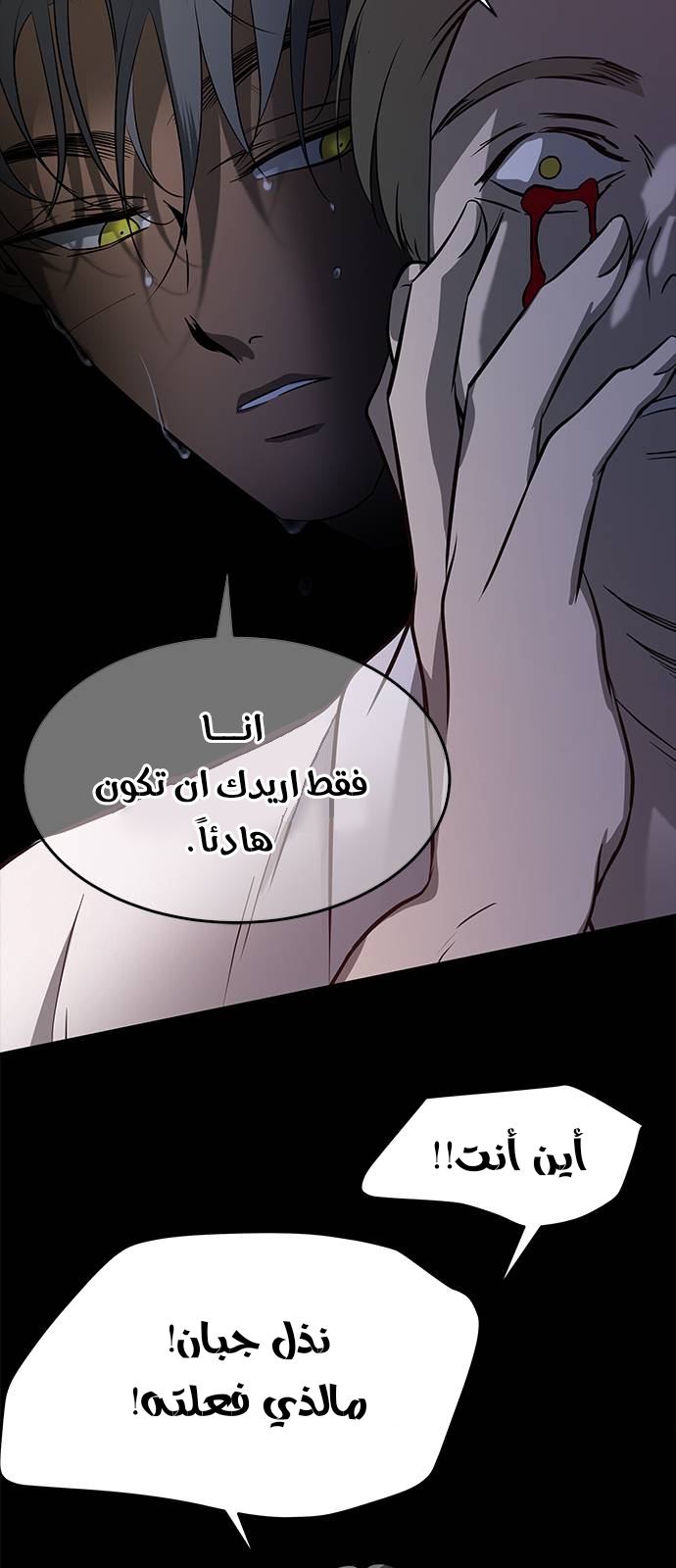 الصفحة 40