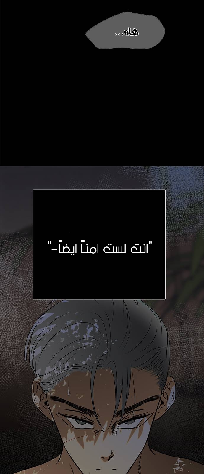 الصفحة 54
