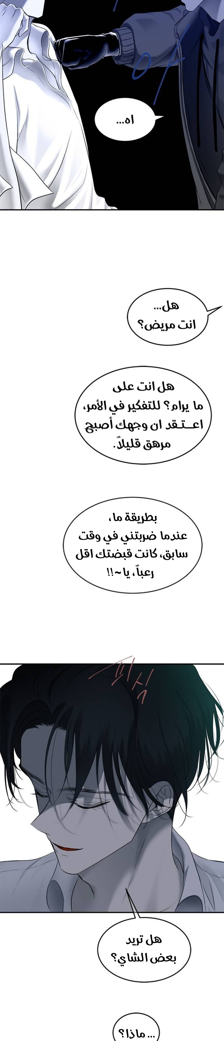 الصفحة 13