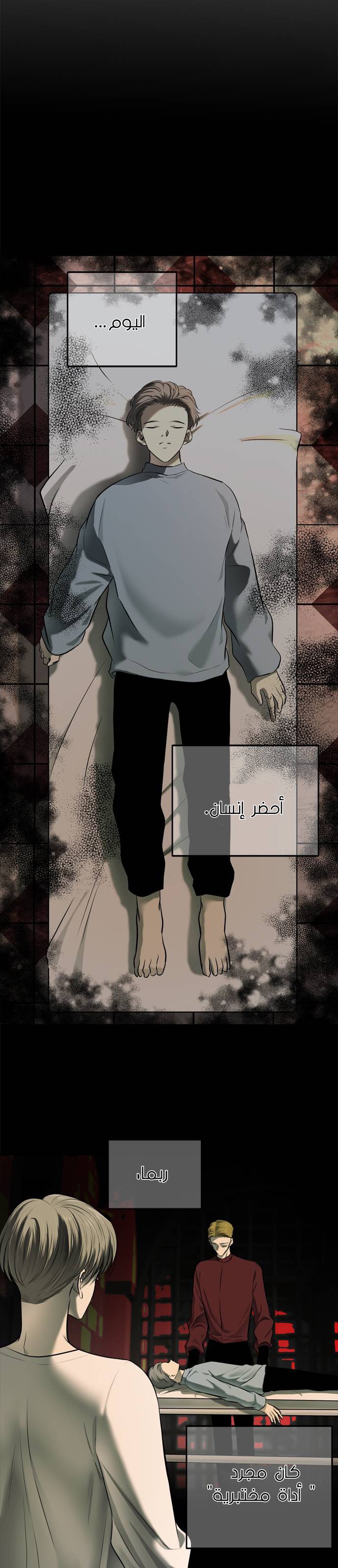 الصفحة 12