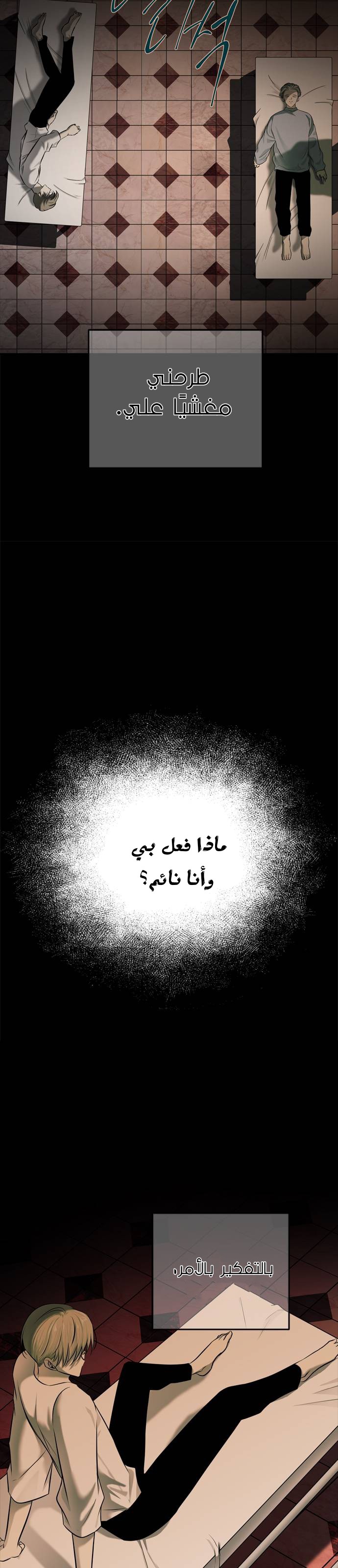 الصفحة 14