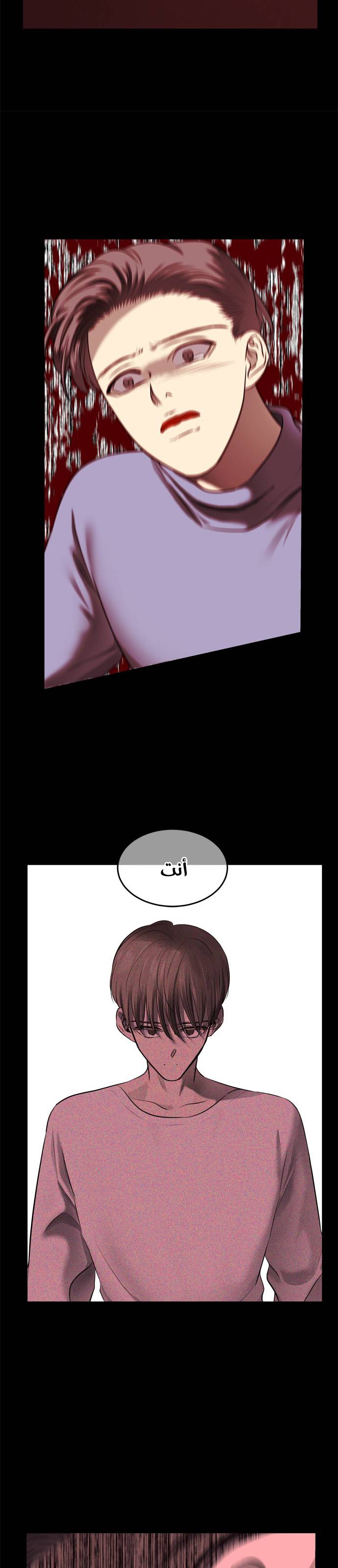 الصفحة 17