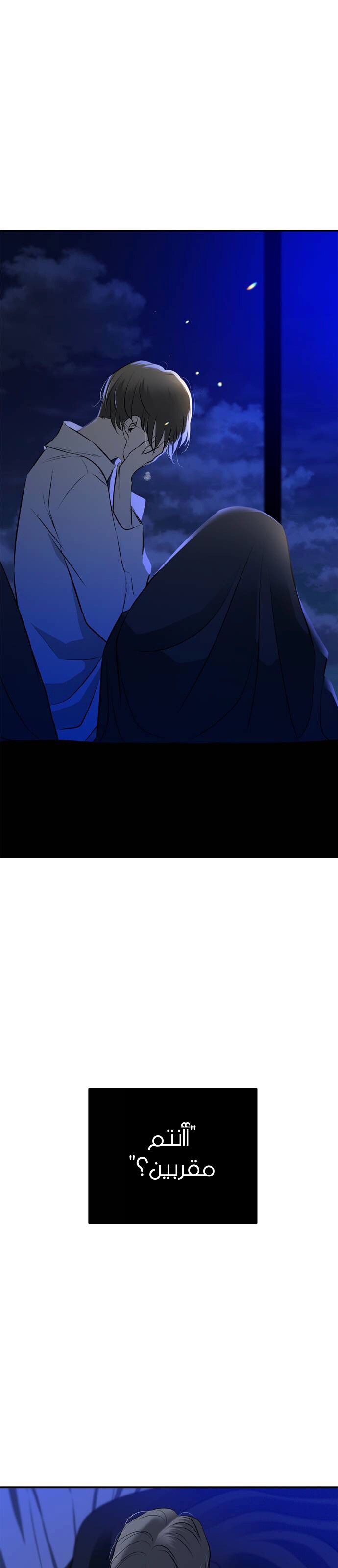 الصفحة 24