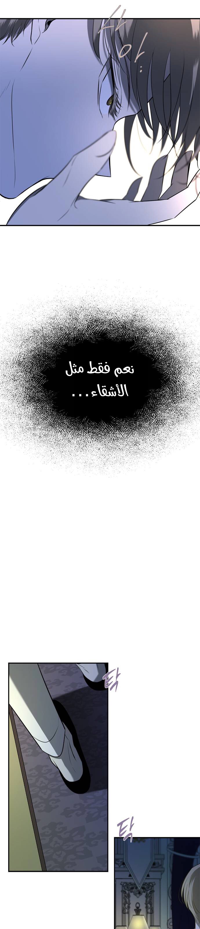 الصفحة 26