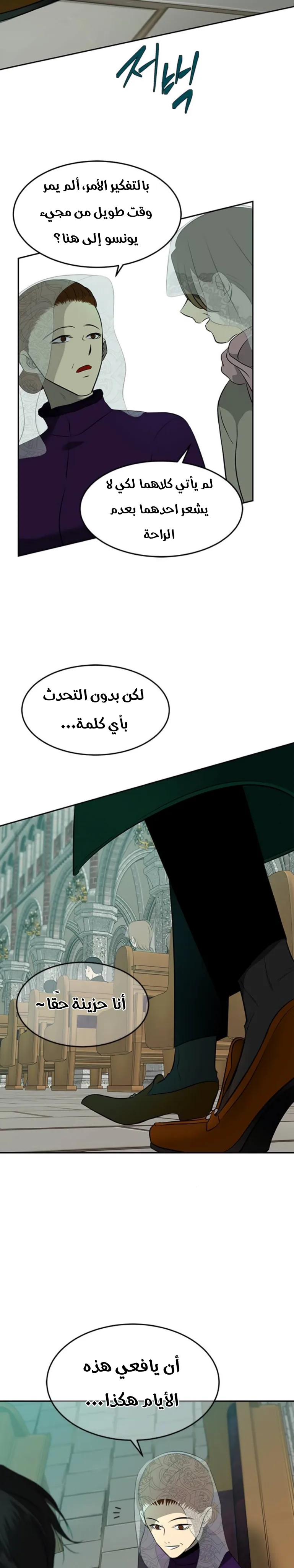 الصفحة 25