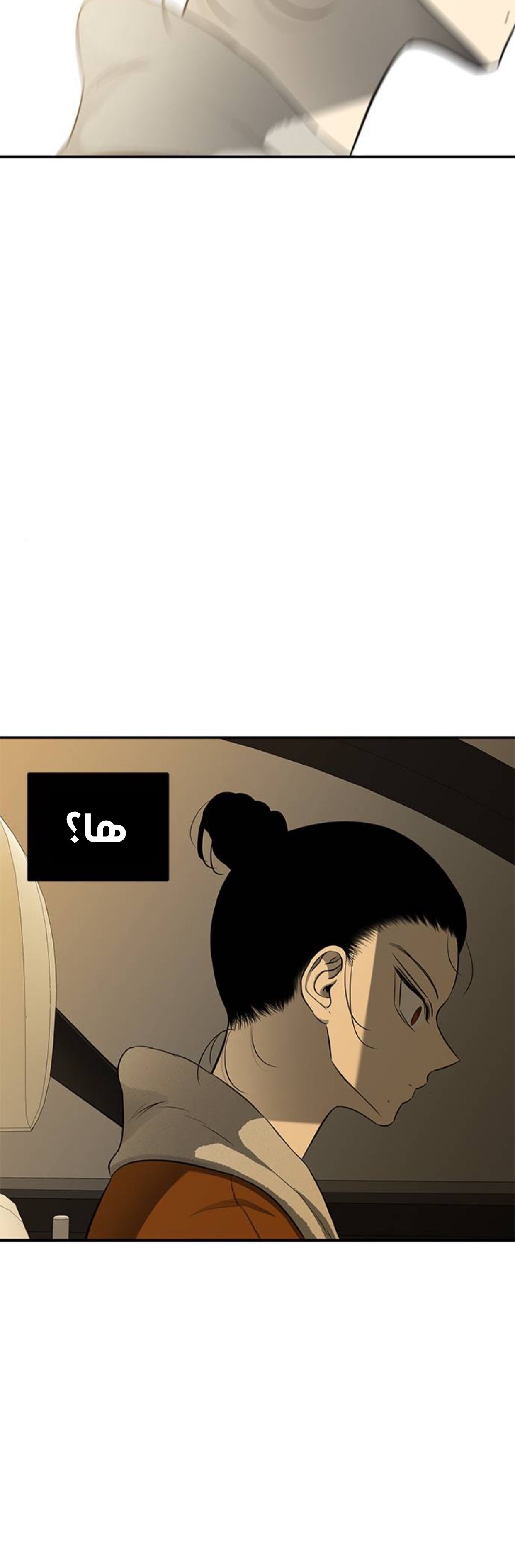 الصفحة 39