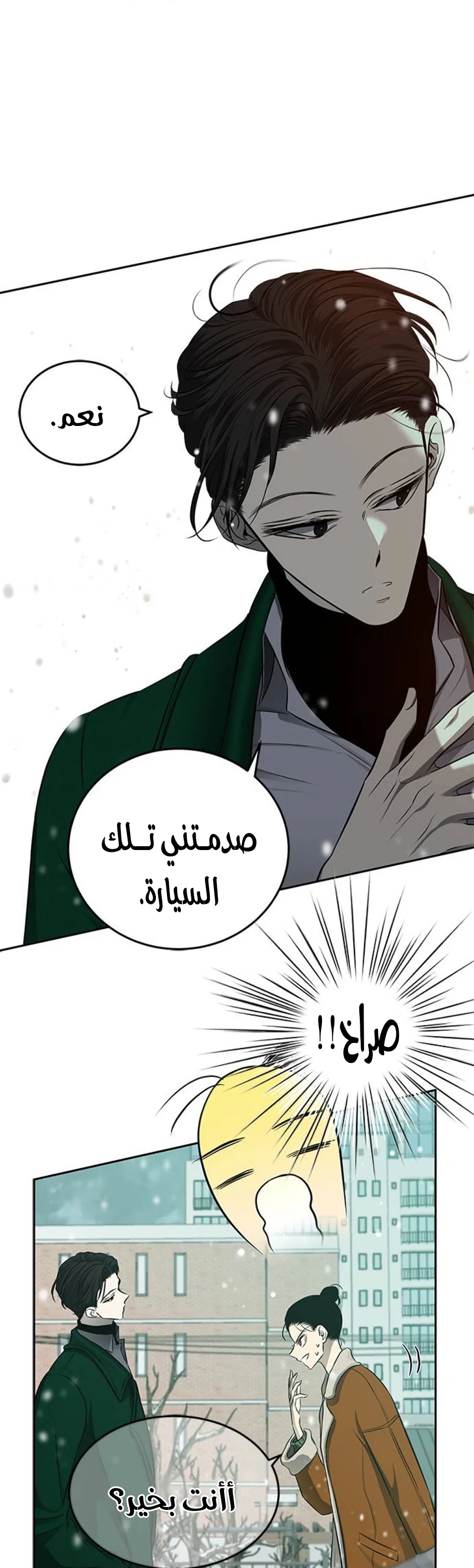 الصفحة 43