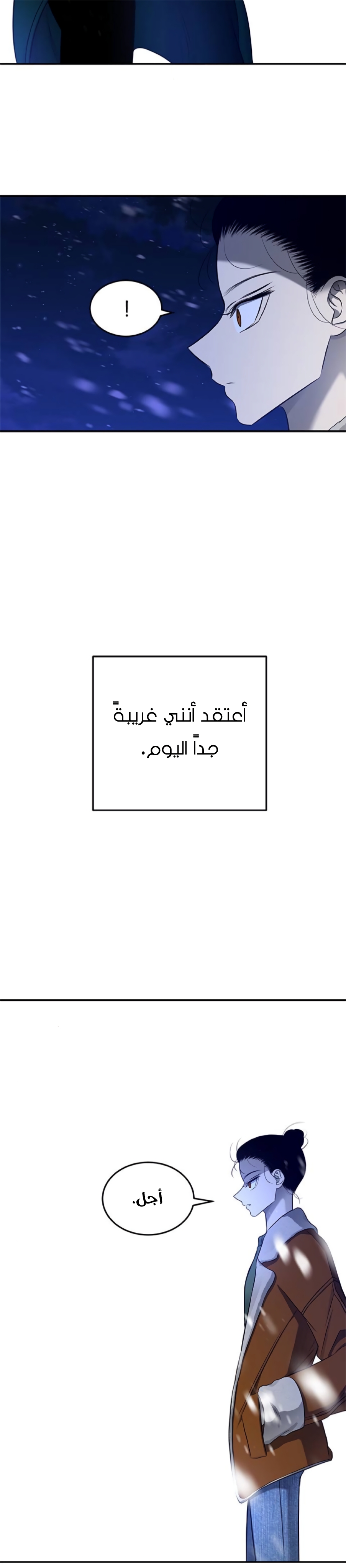 الصفحة 41