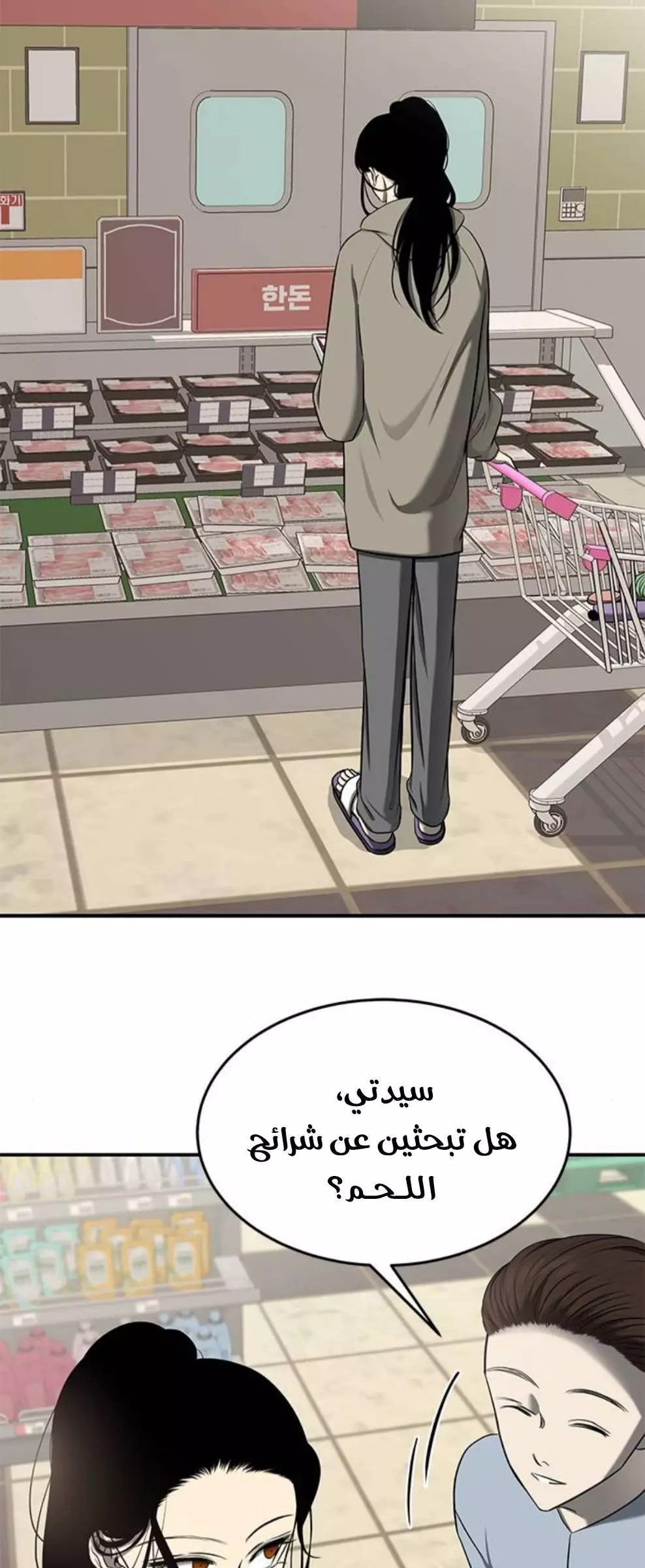 الصفحة 17