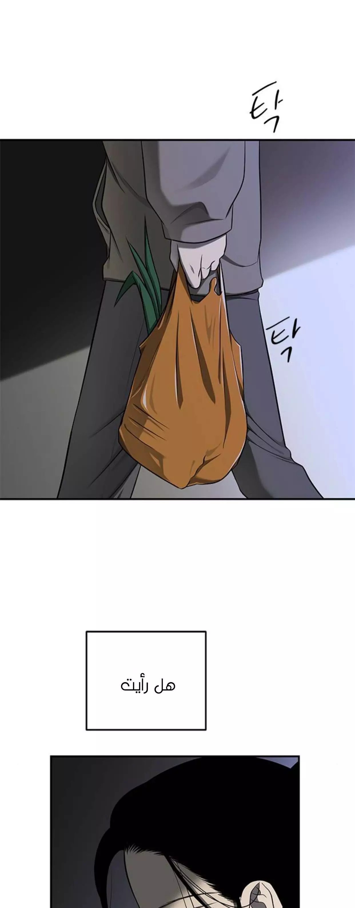 الصفحة 25