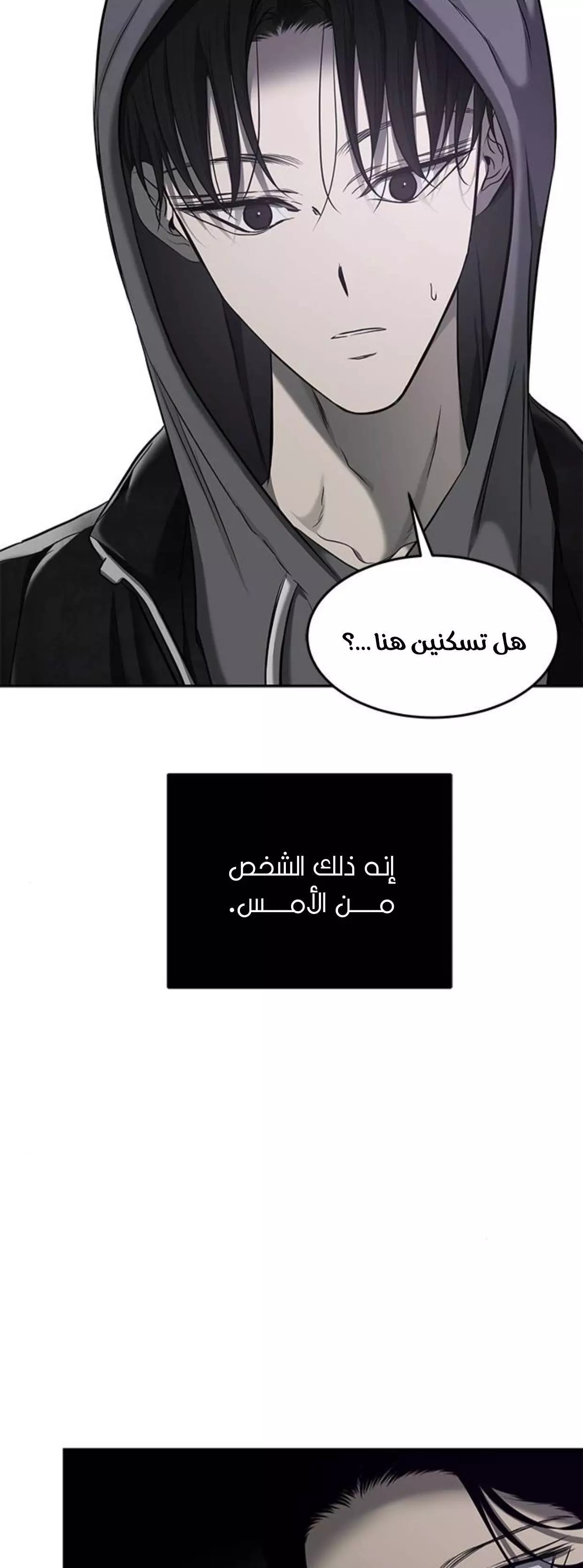 الصفحة 31