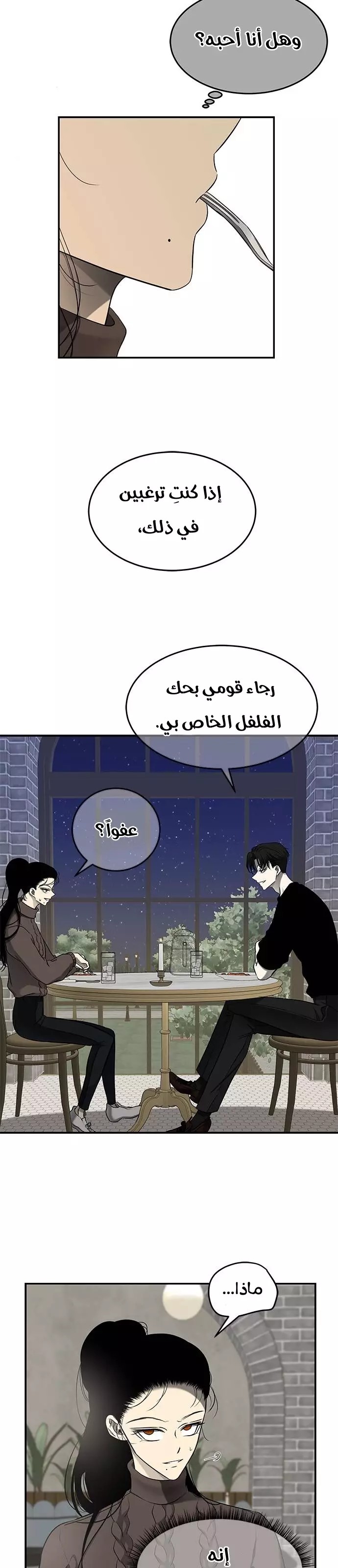 الصفحة 27