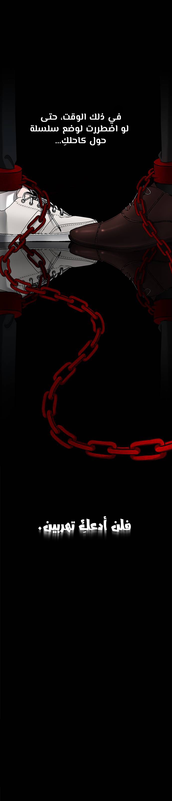 الصفحة 20