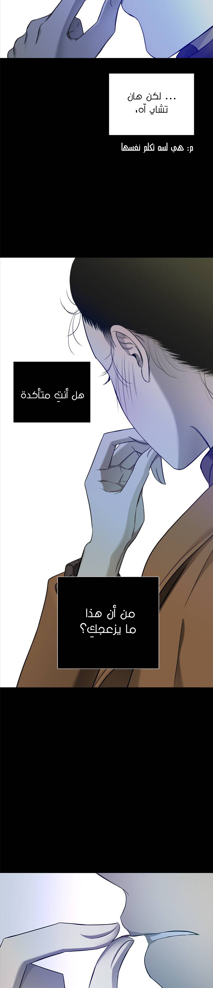 الصفحة 28