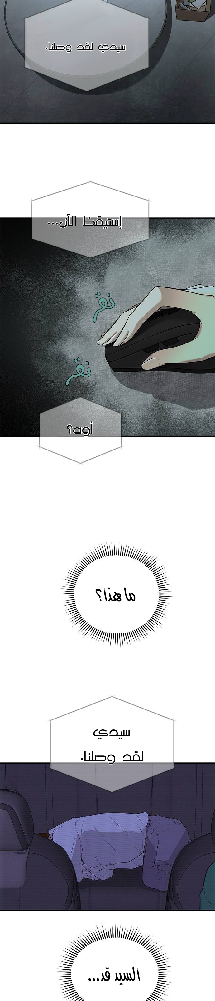 الصفحة 21