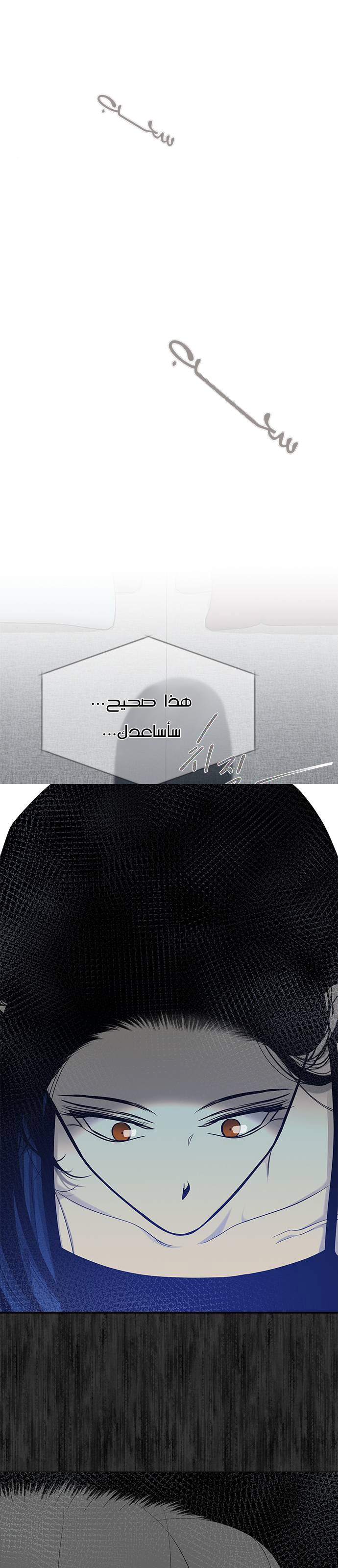 الصفحة 25