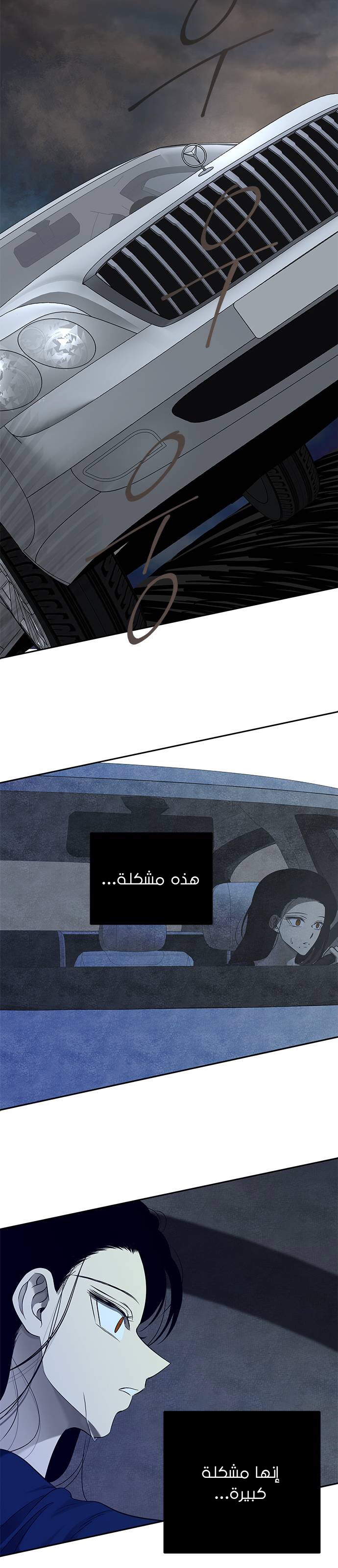 الصفحة 41