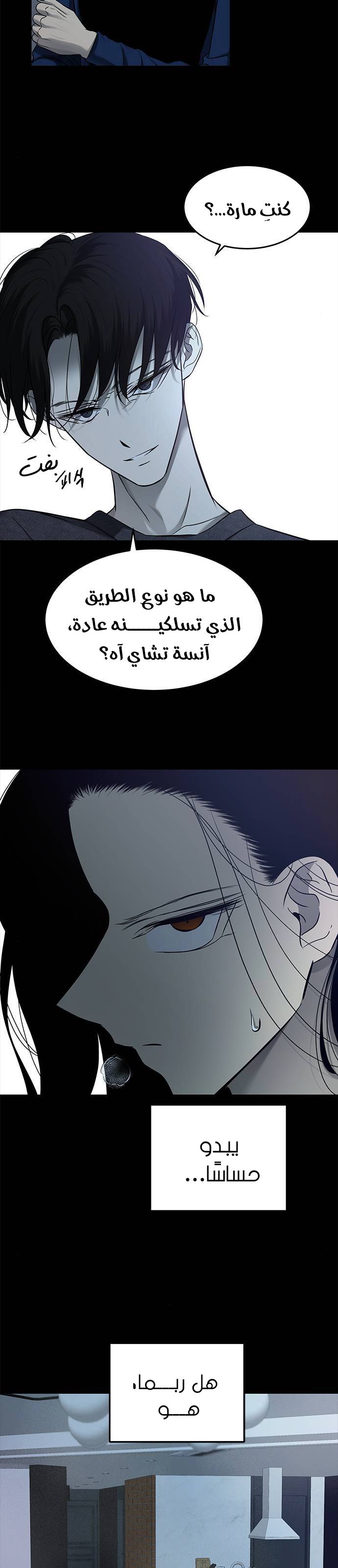 الصفحة 13