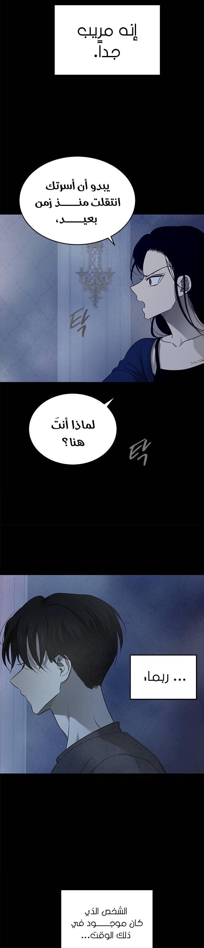الصفحة 20