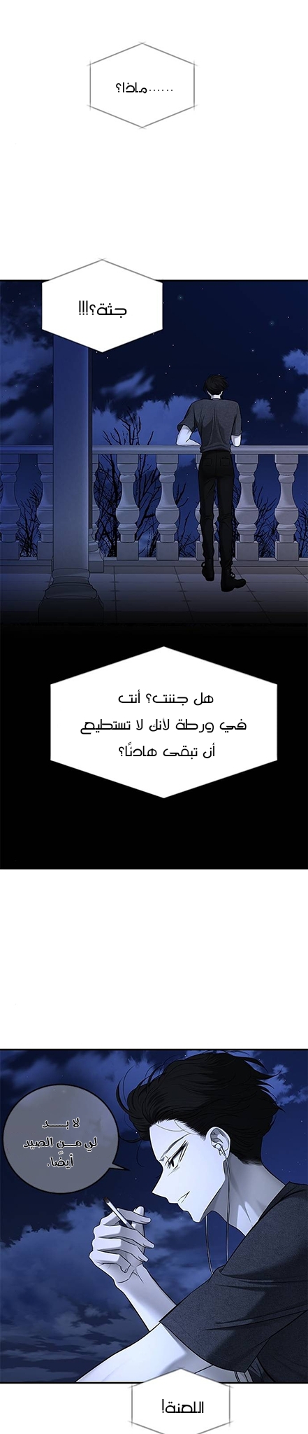 الصفحة 30