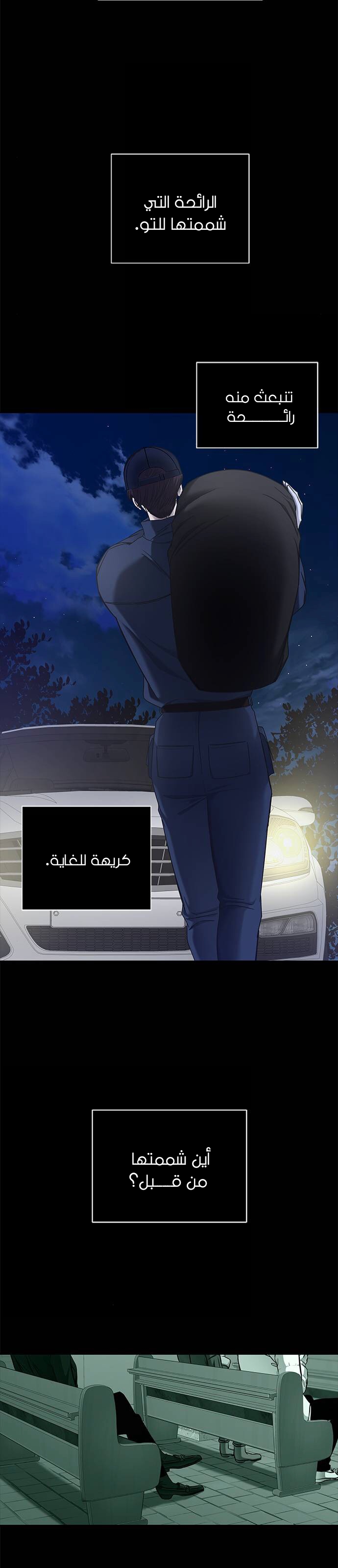 الصفحة 14
