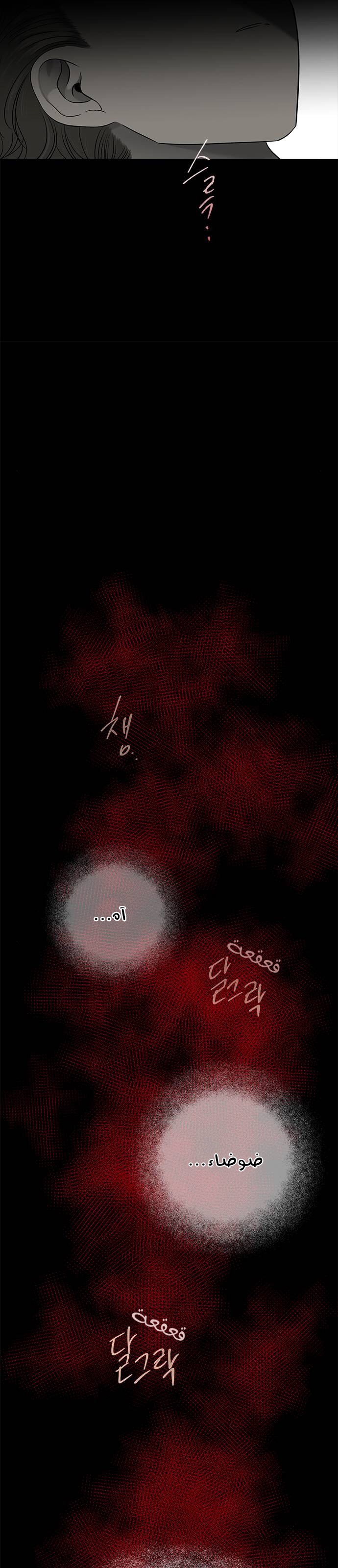 الصفحة 27