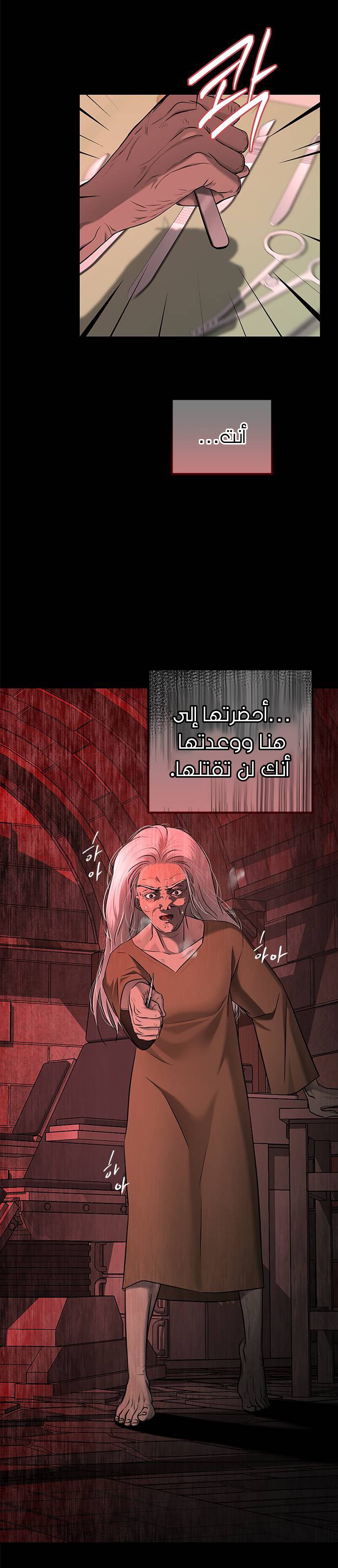 الصفحة 13