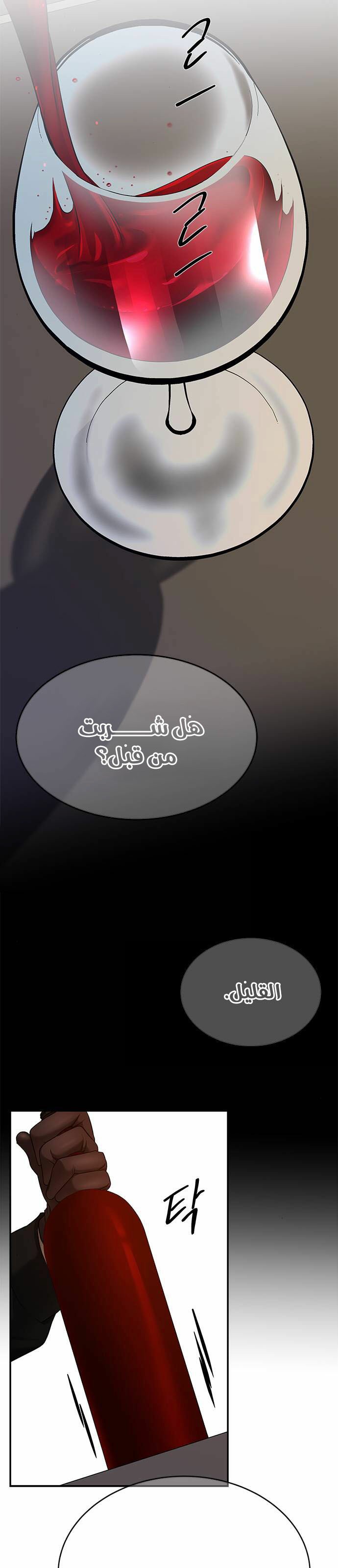 الصفحة 17