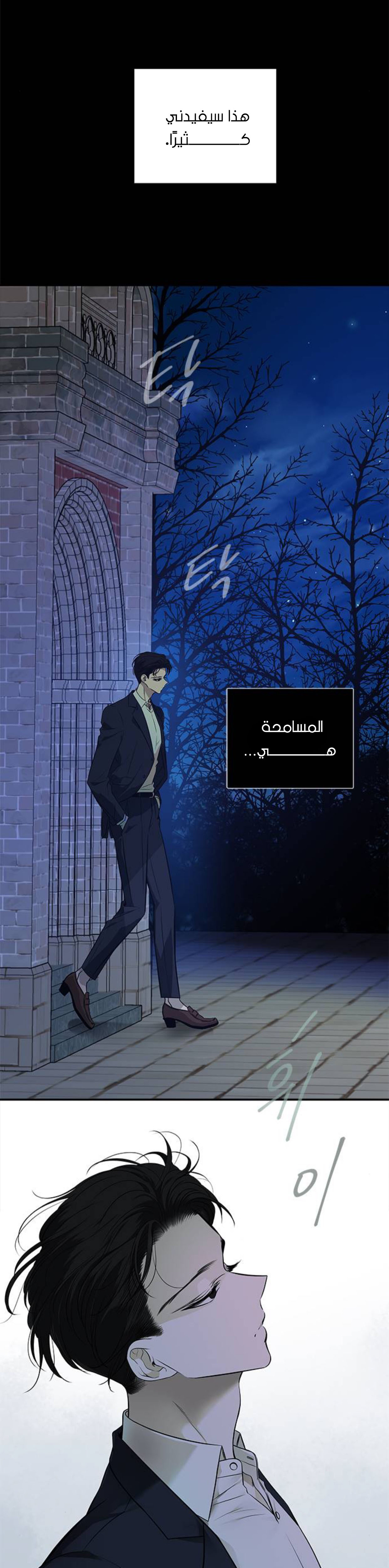 الصفحة 19