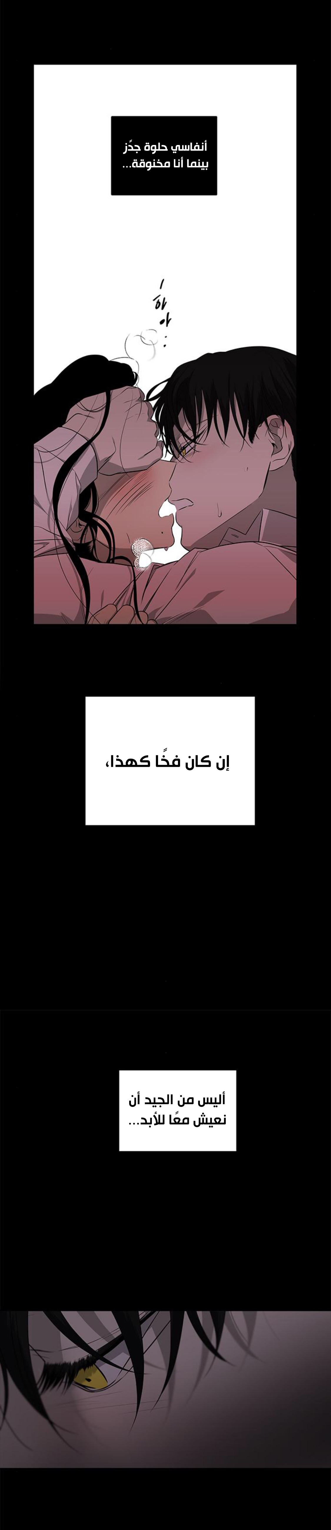 الصفحة 30