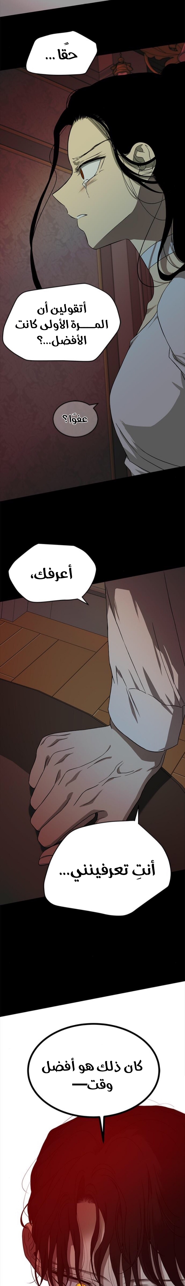 الصفحة 17